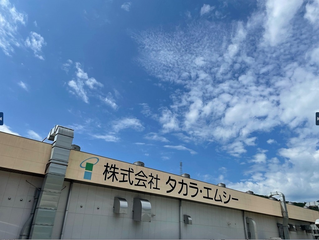 障害者雇用