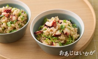 【7月】たこ飯