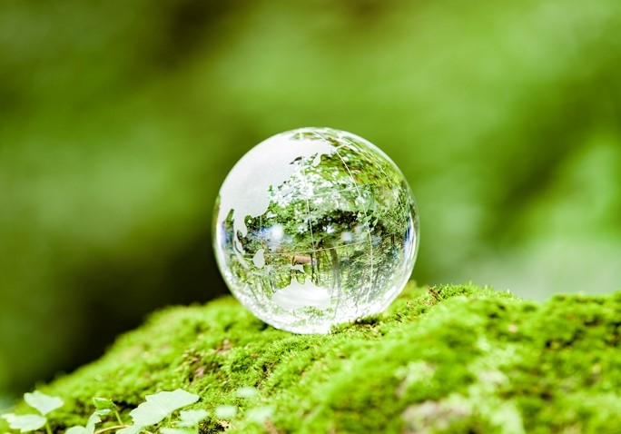 タカラ・エムシーのSDGs - コピー