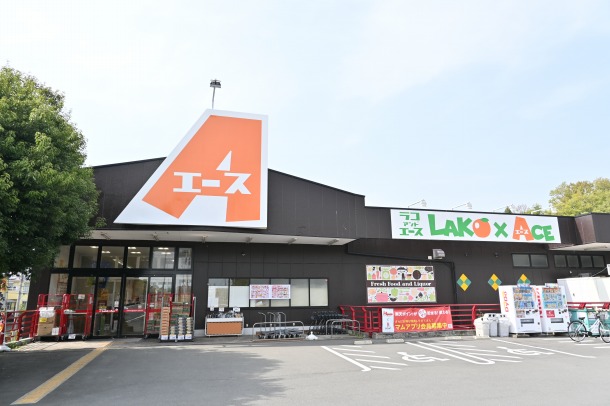 ace_mishima (2)