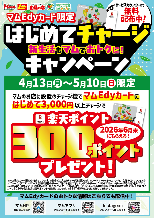 ポスター②Edy初めてチャージCP